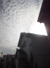 oogiriphp_1196.jpg